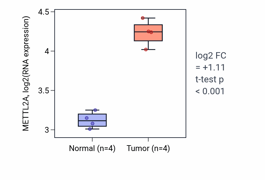 Tumor-vs-normal expression box plot for METTL2A RNA in KIRP.