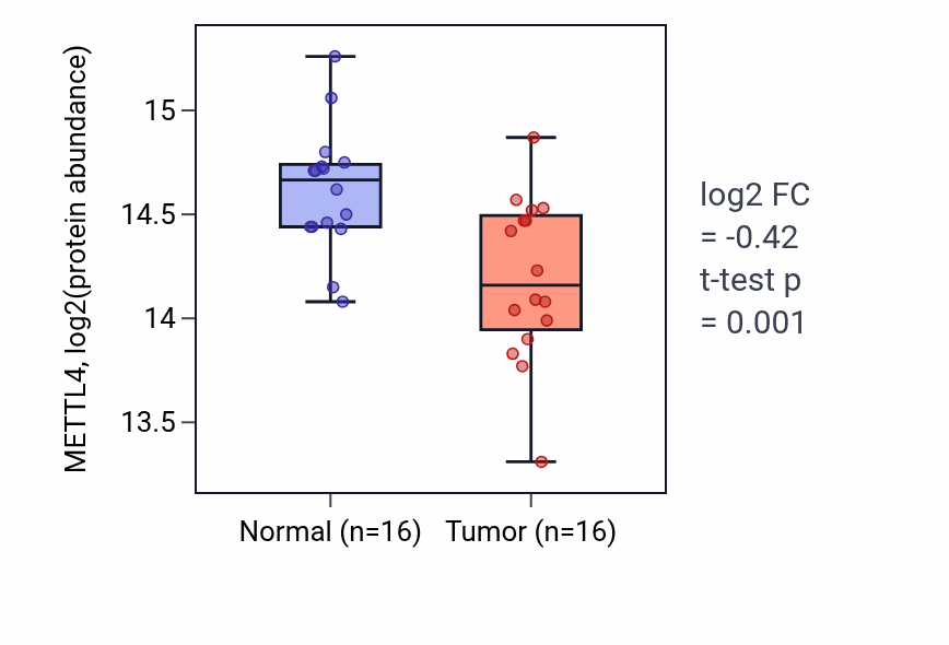 Tumor-vs-normal mass-spec protein box plot for METTL4 in LUAD.
