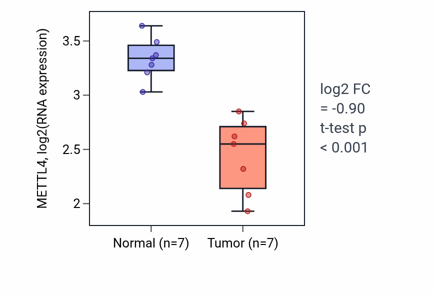 Tumor-vs-normal expression box plot for METTL4 RNA in THCA.