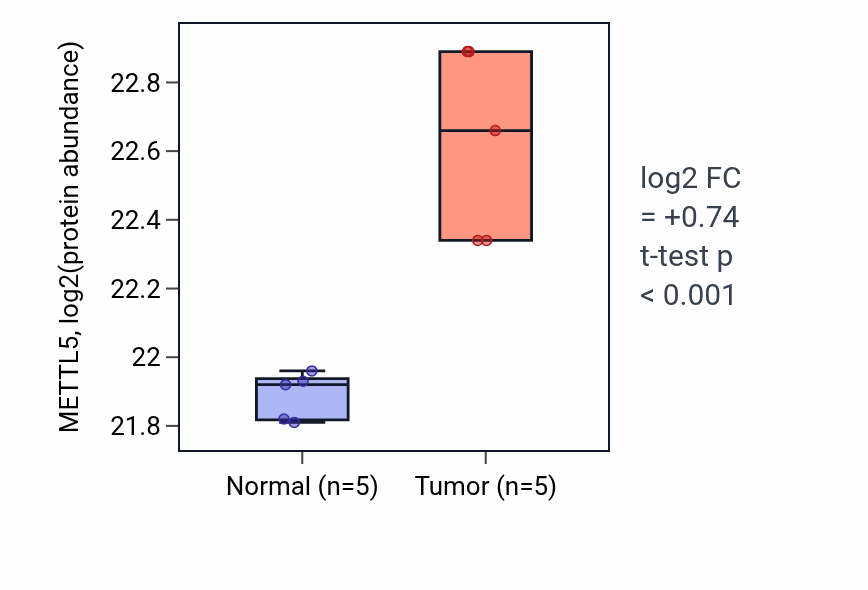Tumor-vs-normal mass-spec protein box plot for METTL5 in CCRCC.