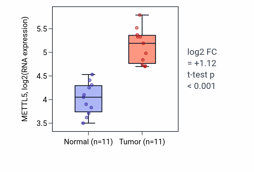 Tumor-vs-normal expression box plot for METTL5 RNA in HNSC.