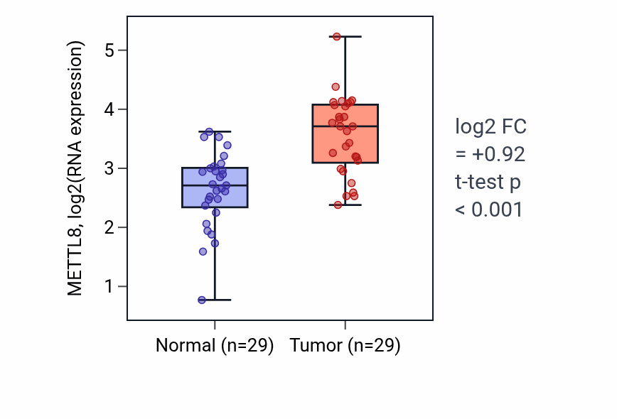 Tumor-vs-normal expression box plot for METTL8 RNA in HNSC.