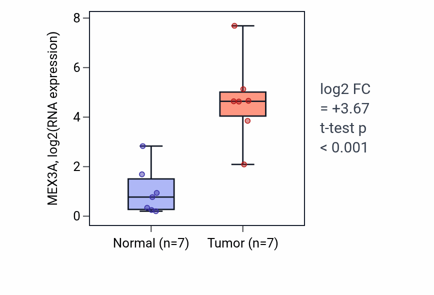 Tumor-vs-normal expression box plot for MEX3A RNA in BLCA.