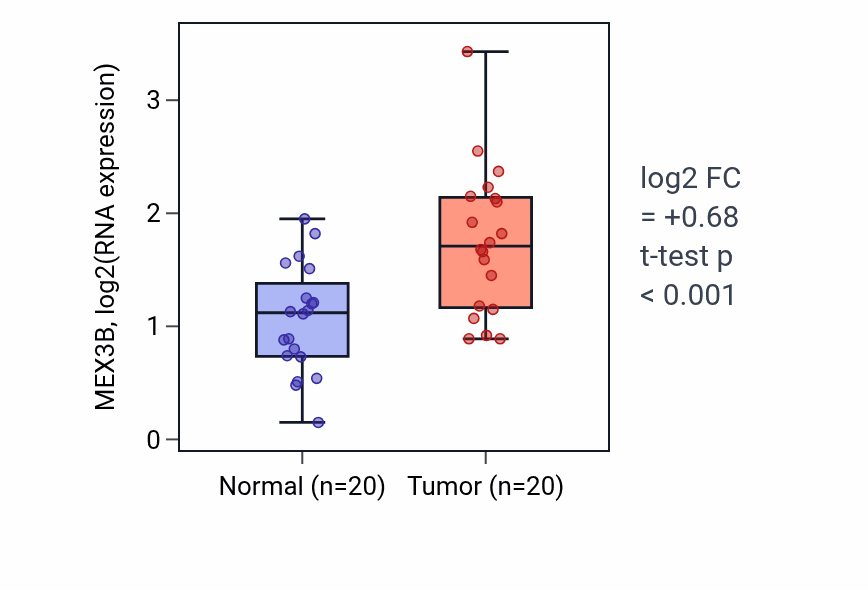 Tumor-vs-normal expression box plot for MEX3B RNA in KIRC.