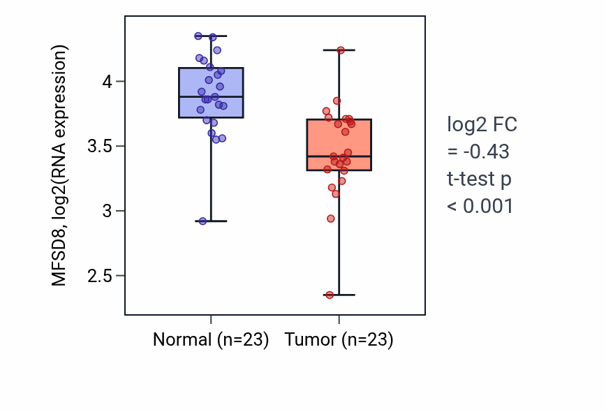 Tumor-vs-normal expression box plot for MFSD8 RNA in THCA.