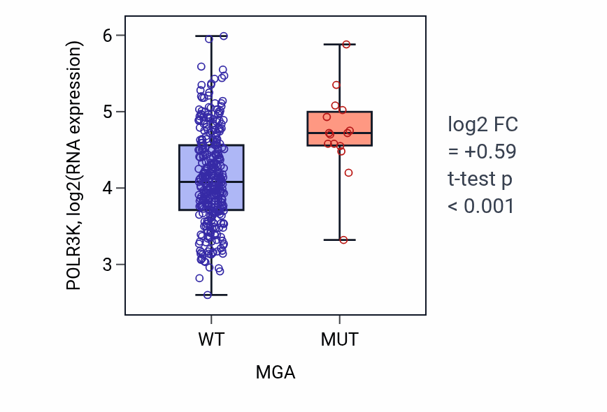 Box plot of POLR3K in MGA-low vs MGA-high samples in STAD.
