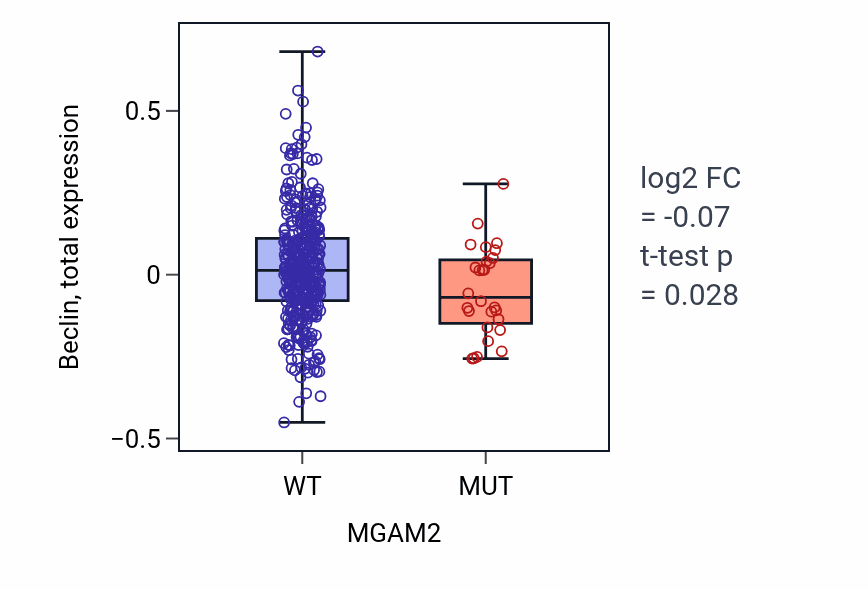 Box plot of Beclin in MGAM2-low vs MGAM2-high samples in UCEC.