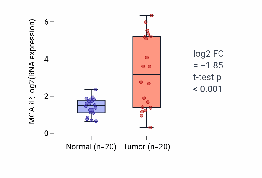 Tumor-vs-normal expression box plot for MGARP RNA in KIRC.