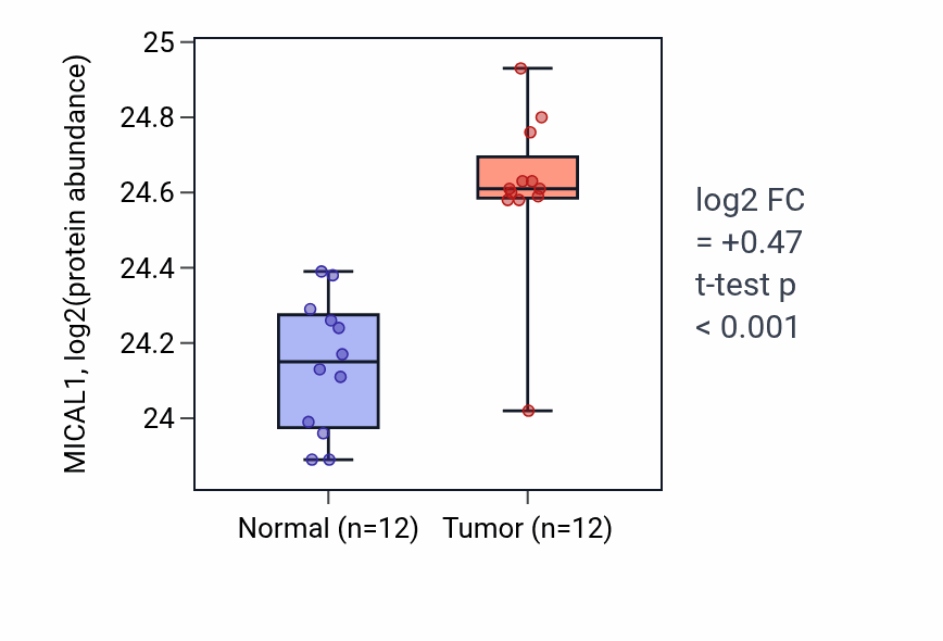 Tumor-vs-normal mass-spec protein box plot for MICAL1 in CCRCC.