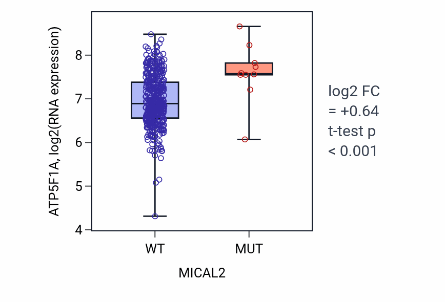 Box plot of ATP5F1A in MICAL2-low vs MICAL2-high samples in COAD.