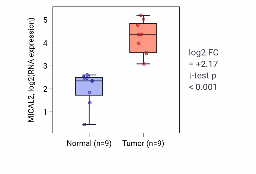 Tumor-vs-normal expression box plot for MICAL2 RNA in HNSC.