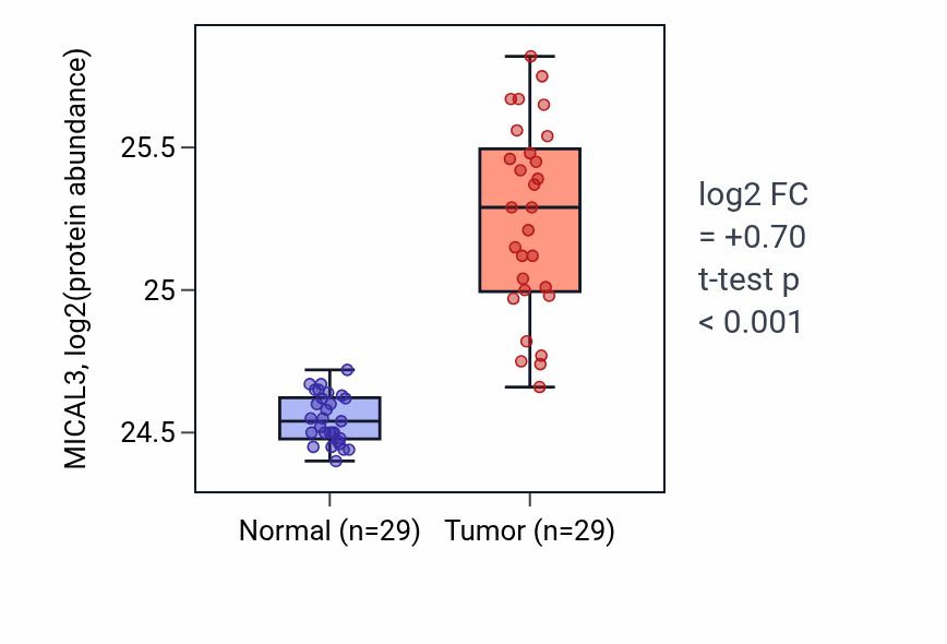 Tumor-vs-normal mass-spec protein box plot for MICAL3 in CCRCC.