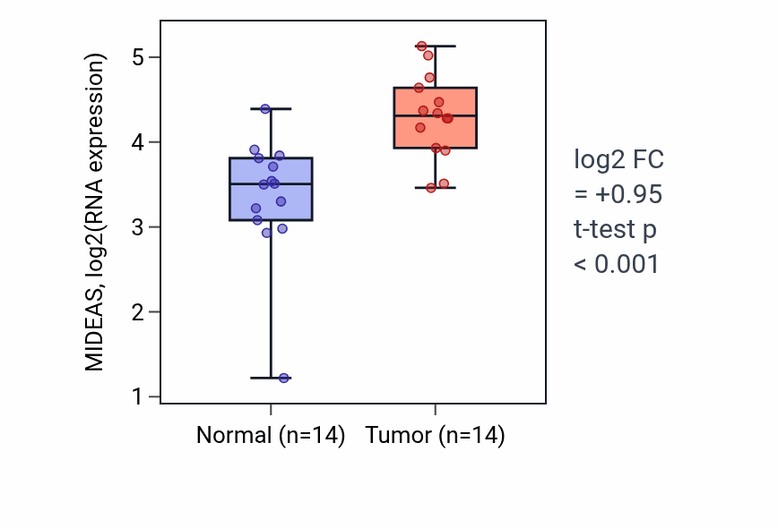 Tumor-vs-normal expression box plot for MIDEAS RNA in HNSC.