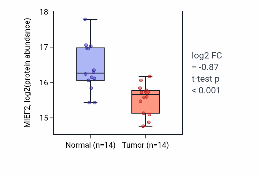 Tumor-vs-normal mass-spec protein box plot for MIEF2 in HNSC.