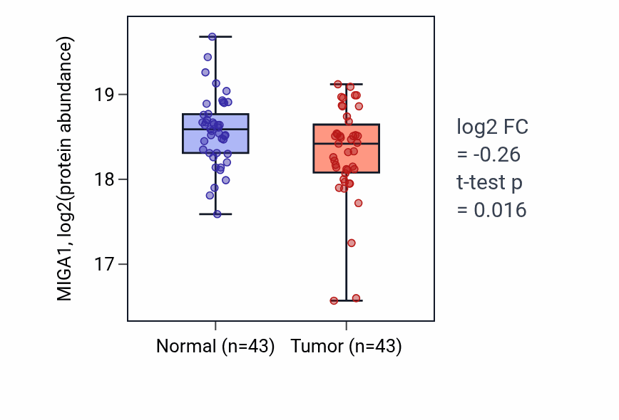 Tumor-vs-normal mass-spec protein box plot for MIGA1 in HNSC.