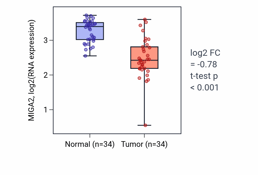 Tumor-vs-normal expression box plot for MIGA2 RNA in KIRC.
