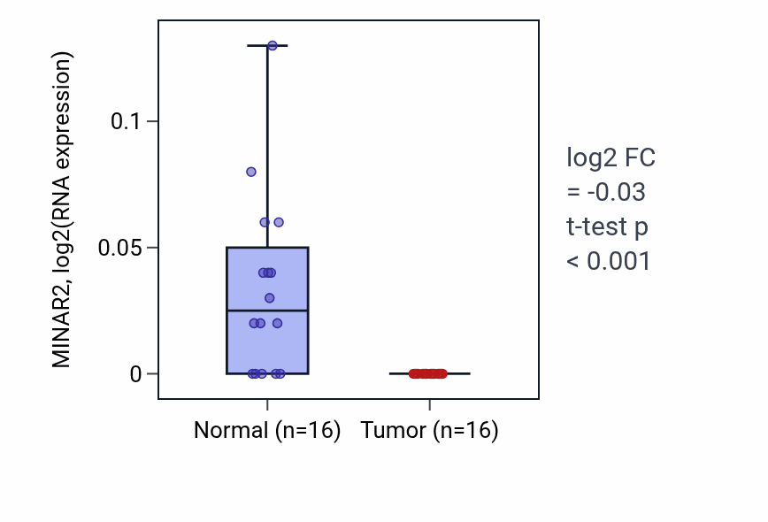 Tumor-vs-normal expression box plot for MINAR2 in KIRP.