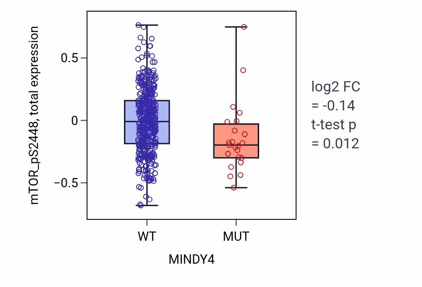 Box plot of mTOR_pS2448 in MINDY4-low vs MINDY4-high samples in UCEC.