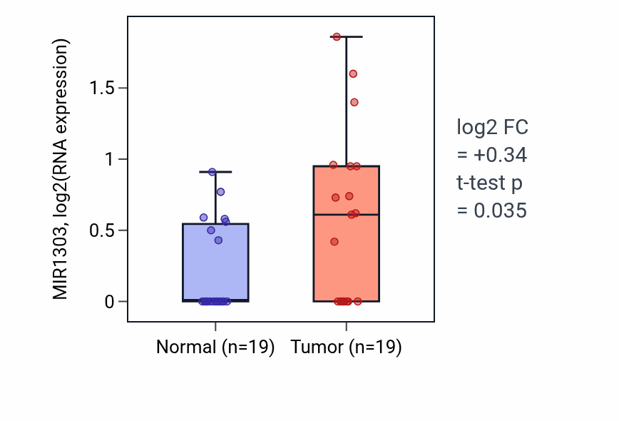 Tumor-vs-normal expression box plot for MIR1303 in STAD.