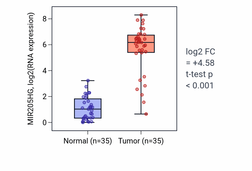 Tumor-vs-normal expression box plot for MIR205HG in LUSC.