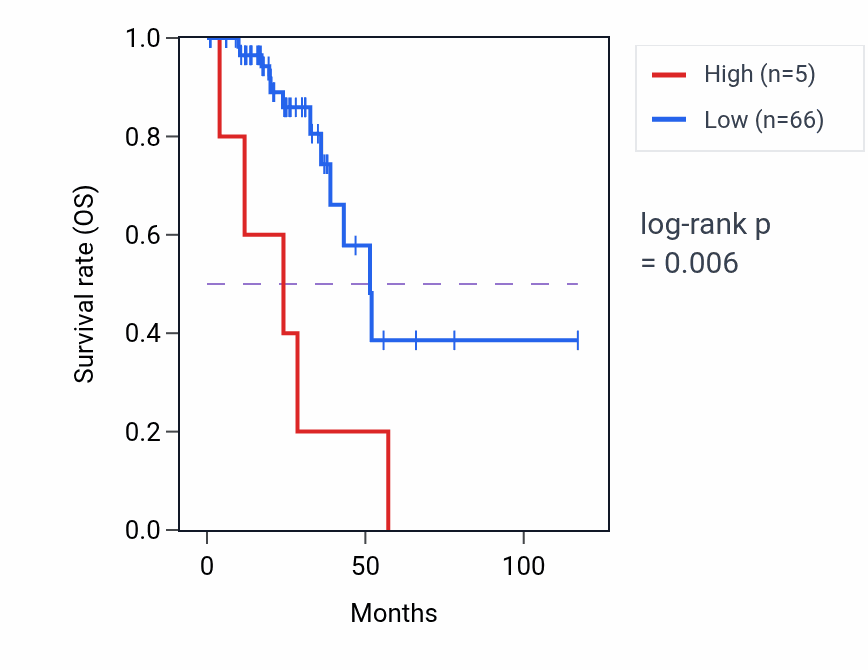 Kaplan&ndash;Meier survival curve for MIR3116-1 RNA expression in READ: high vs low expression groups.