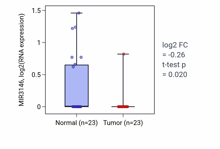 Tumor-vs-normal expression box plot for MIR3146 RNA in THCA.