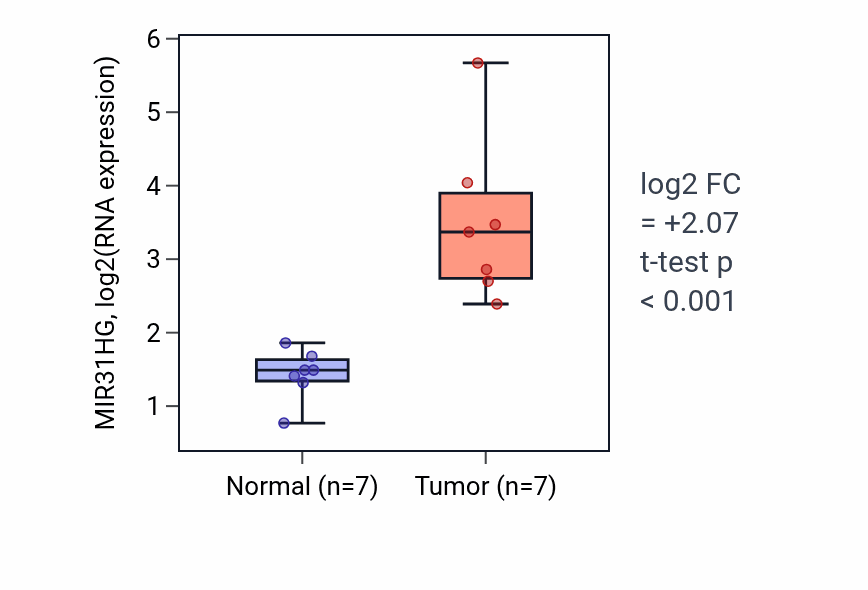 Tumor-vs-normal expression box plot for MIR31HG in THCA.