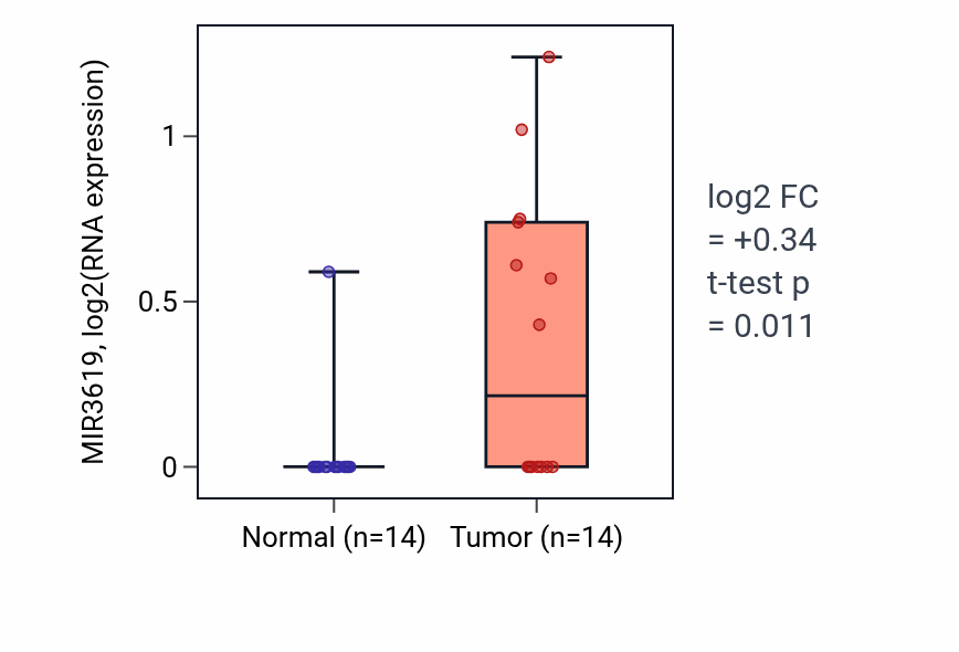 Tumor-vs-normal expression box plot for MIR3619 RNA in STAD.