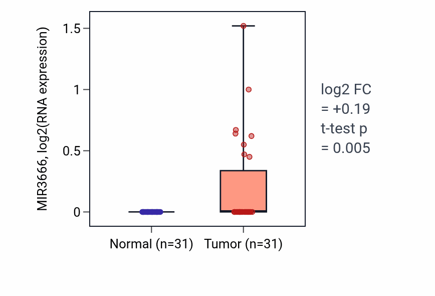 Tumor-vs-normal expression box plot for MIR3666 in KIRP.
