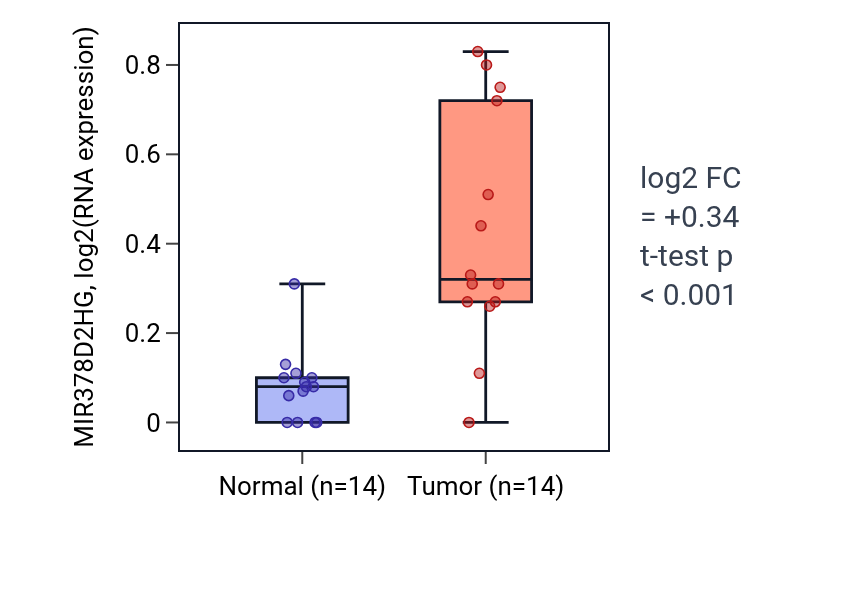 Tumor-vs-normal expression box plot for MIR378D2HG in LUSC.