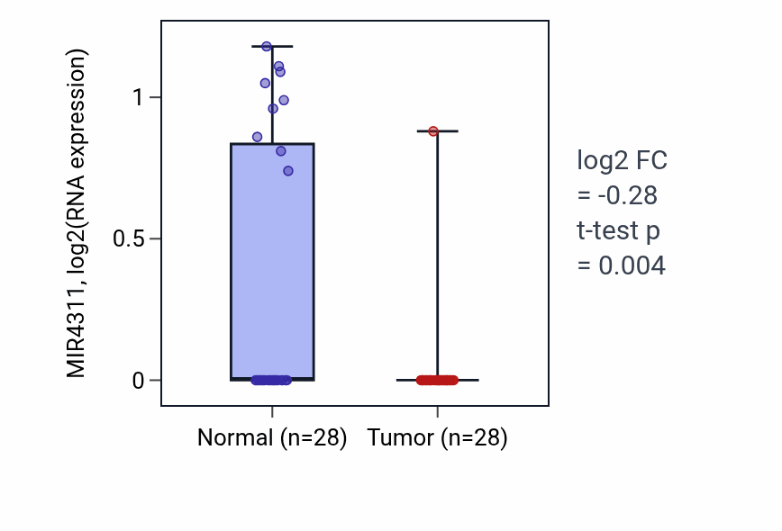 Tumor-vs-normal expression box plot for MIR4311 in LUAD.