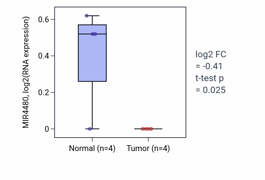 Tumor-vs-normal expression box plot for MIR4480 in KIRP.
