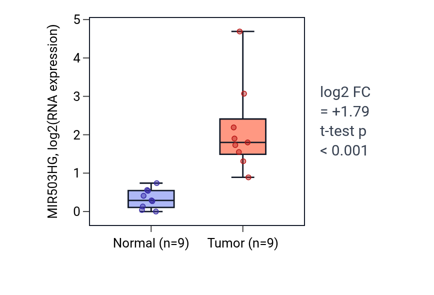 Tumor-vs-normal expression box plot for MIR503HG in HNSC.