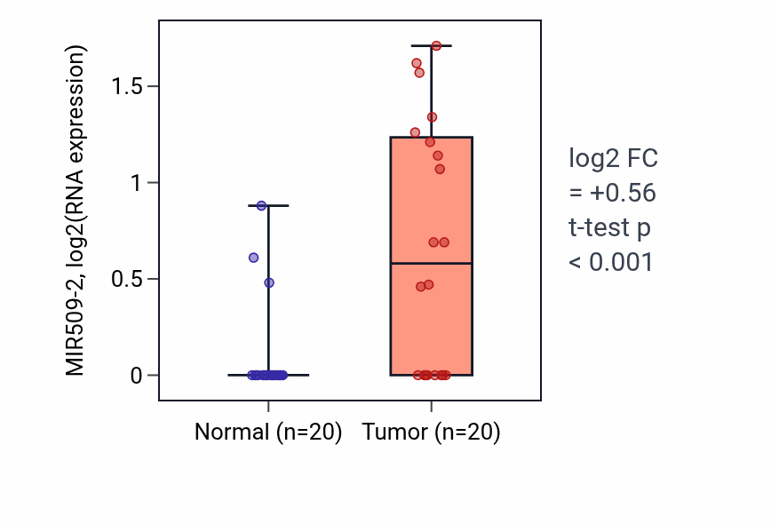 Tumor-vs-normal expression box plot for MIR509-2 in KIRC.