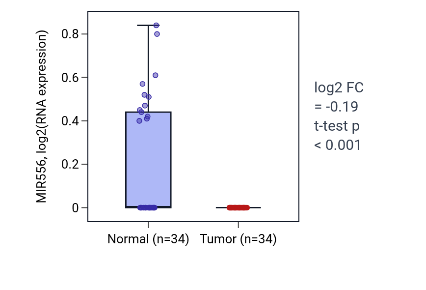 Tumor-vs-normal expression box plot for MIR556 in KIRC.
