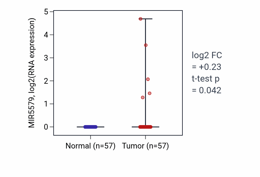 Tumor-vs-normal expression box plot for MIR5579 in LUAD.