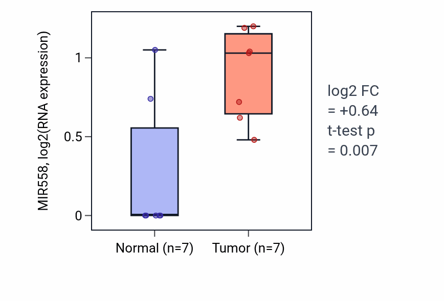Tumor-vs-normal expression box plot for MIR558 in STAD.