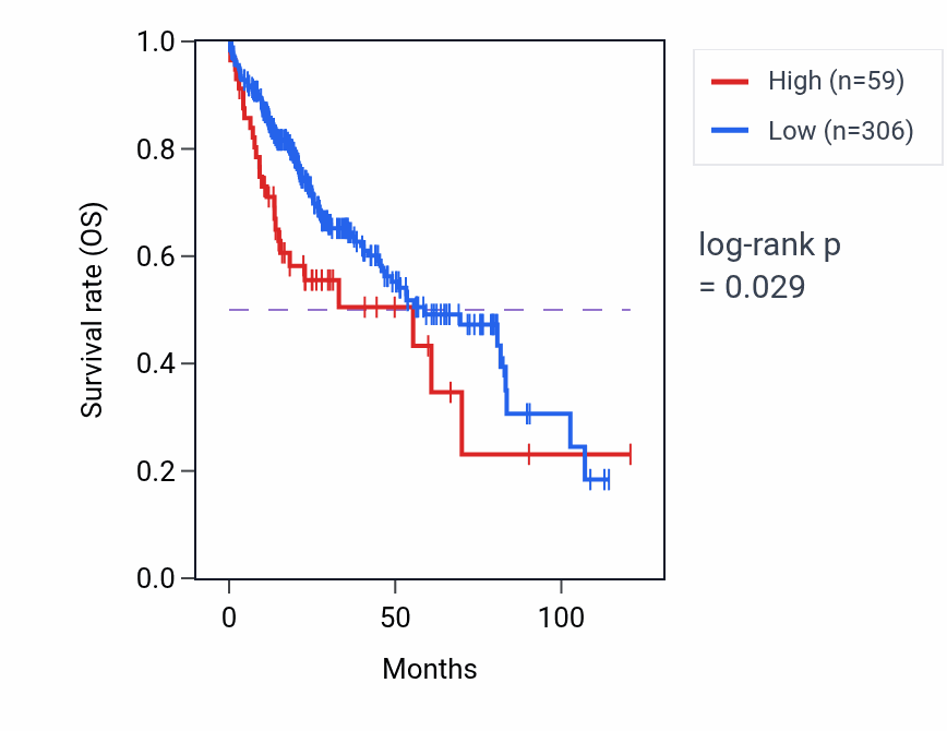 Kaplan&ndash;Meier survival curve for MIR5591 RNA expression in LIHC: high vs low expression groups.