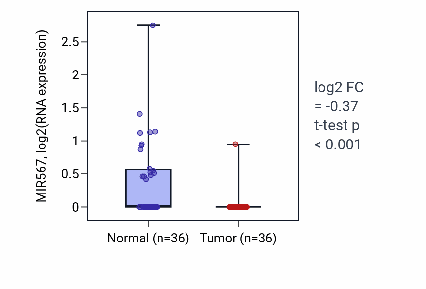 Tumor-vs-normal expression box plot for MIR567 in KIRC.
