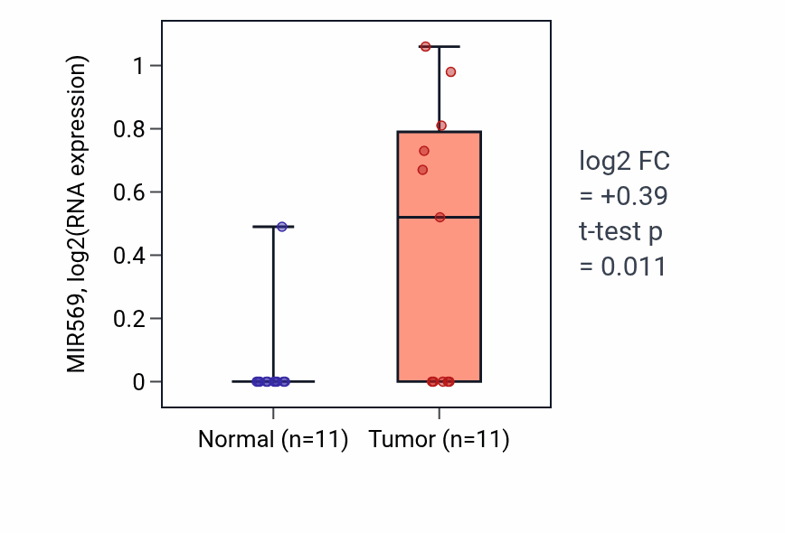 Tumor-vs-normal expression box plot for MIR569 in KIRP.