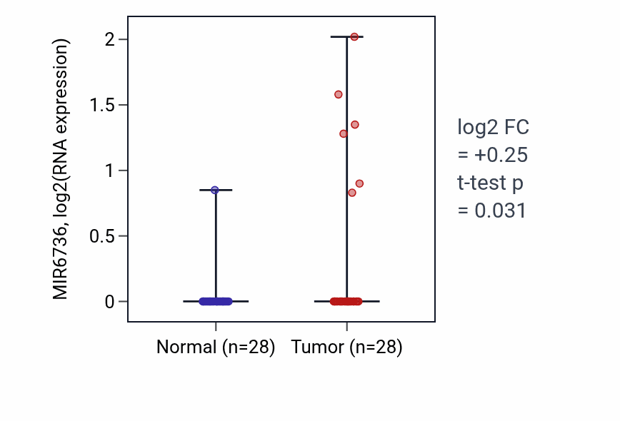 Tumor-vs-normal expression box plot for MIR6736 in LUAD.