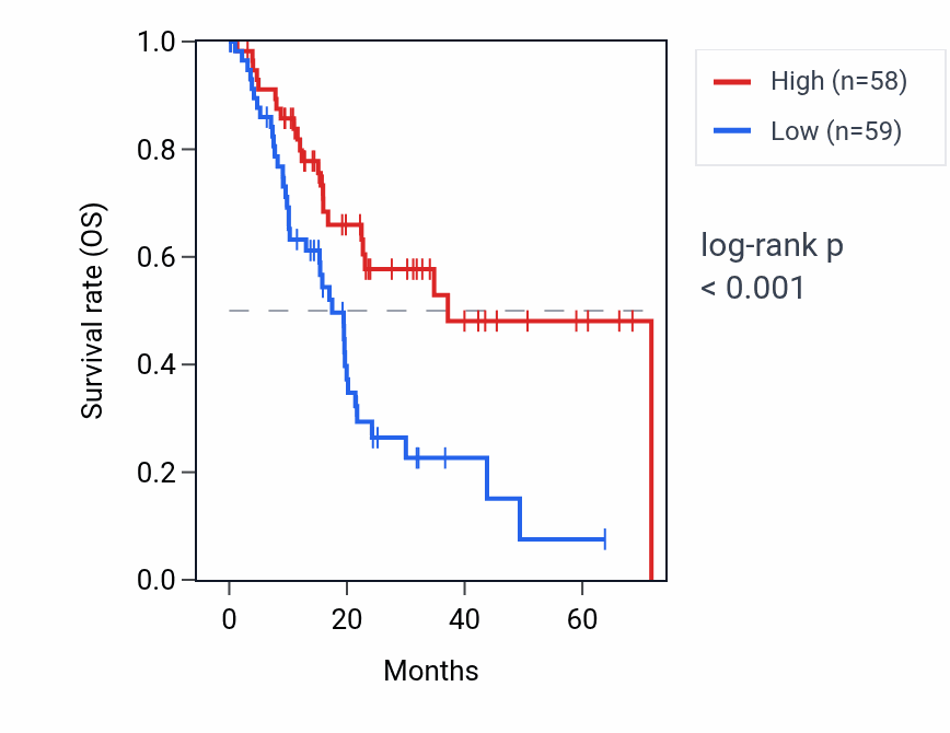 Kaplan&ndash;Meier survival curve for MIR93 RNA expression in PAAD: high vs low expression groups.