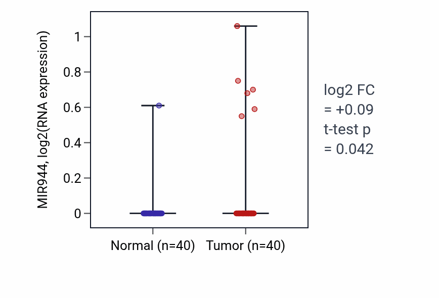 Tumor-vs-normal expression box plot for MIR944 in HNSC.