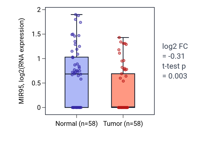 Tumor-vs-normal expression box plot for MIR95 in THCA.
