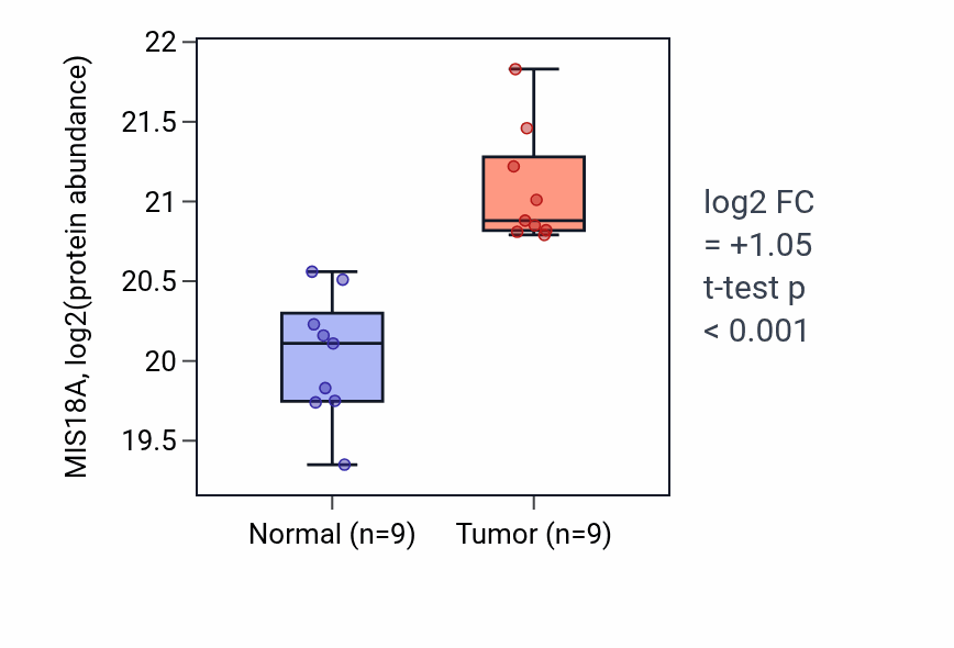 Tumor-vs-normal mass-spec protein box plot for MIS18A in LSCC.