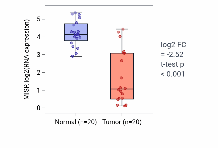 Tumor-vs-normal expression box plot for MISP RNA in KIRC.