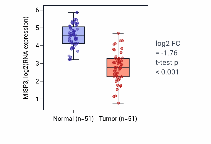 Tumor-vs-normal expression box plot for MISP3 RNA in KIRC.