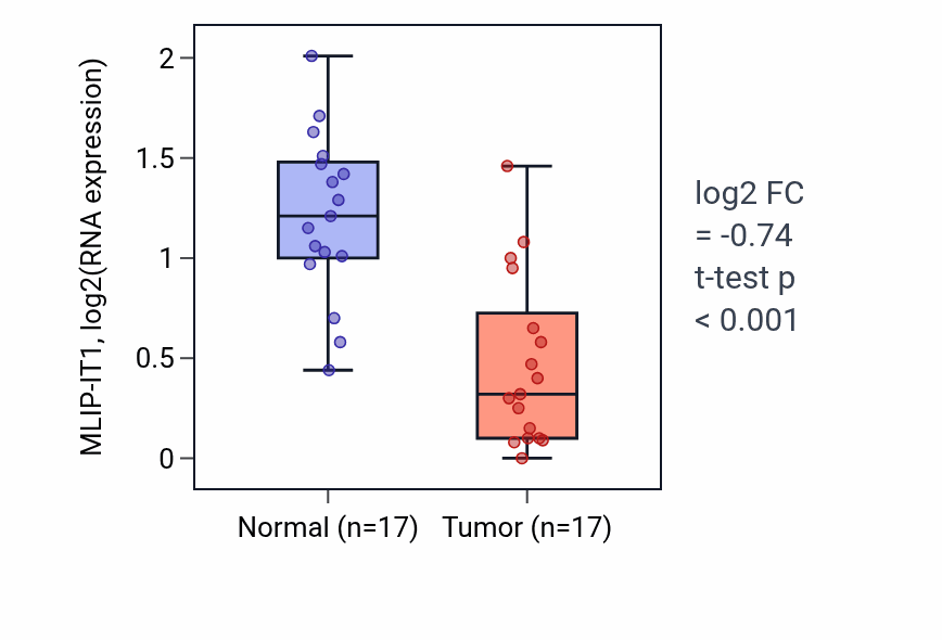 Tumor-vs-normal expression box plot for MLIP-IT1 RNA in THCA.