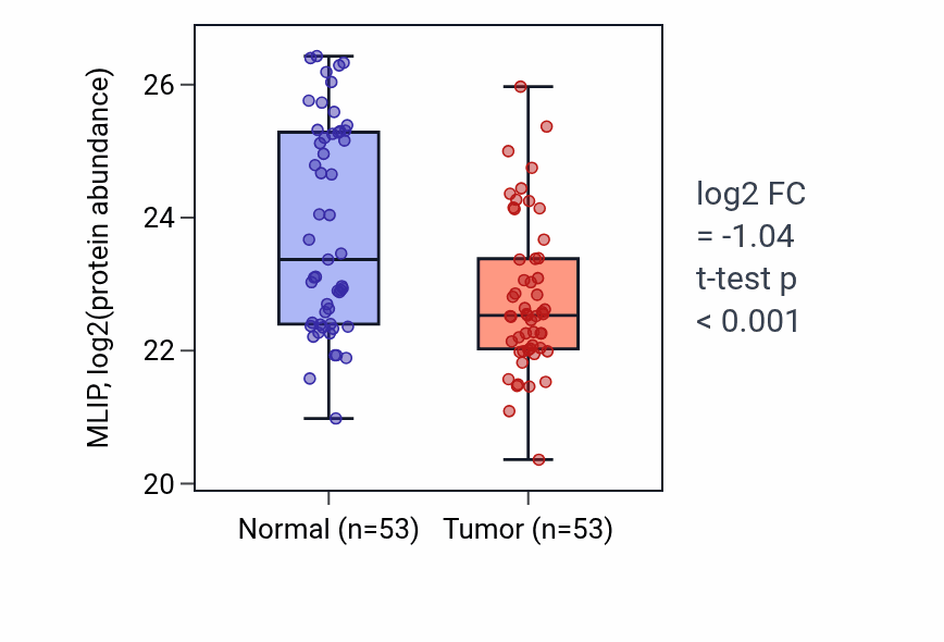 Tumor-vs-normal mass-spec protein box plot for MLIP in HNSC.