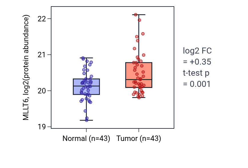 Tumor-vs-normal mass-spec protein box plot for MLLT6 in HNSC.